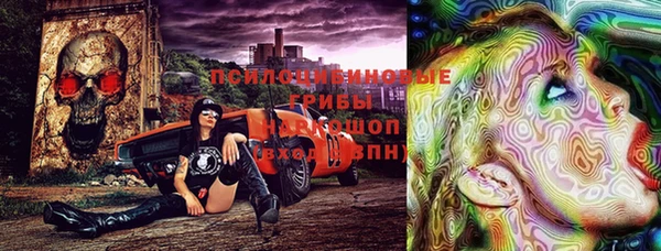 трава Абаза