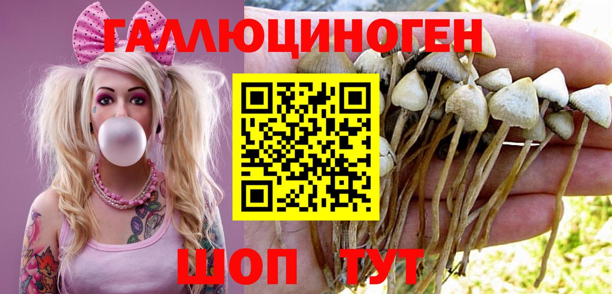Екатеринбург  Псилоцибиновые грибы Cubensis  Вход с VPN 